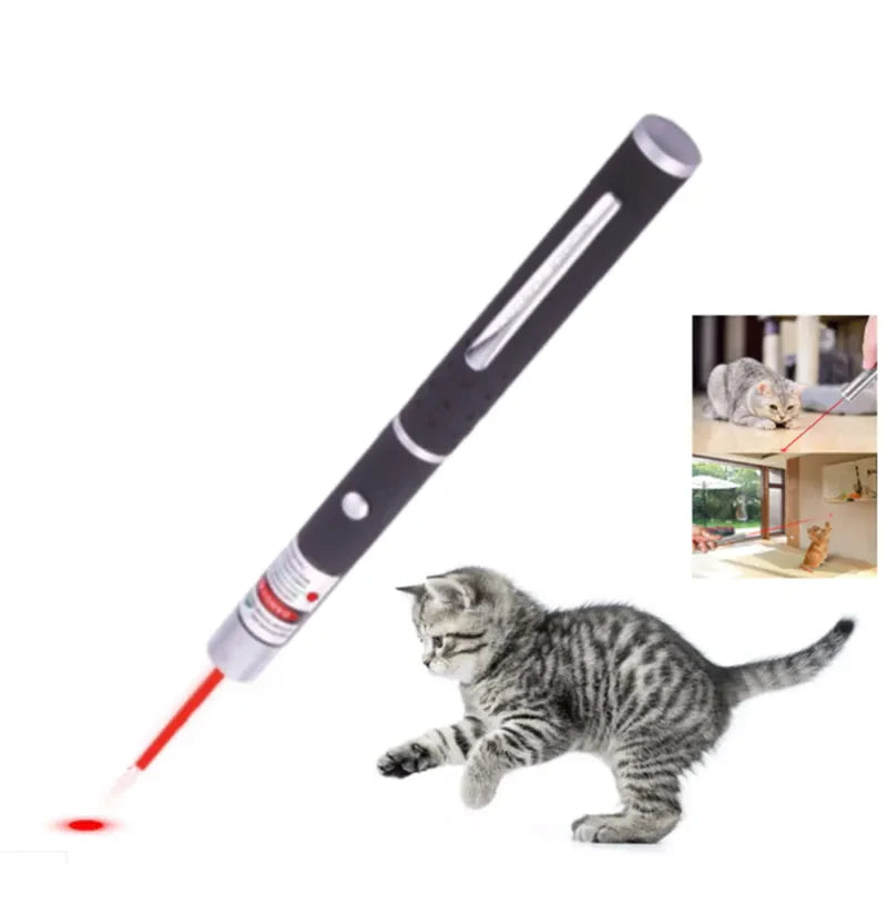 Laser Pointer Pen / Green, Blue, Red Beam