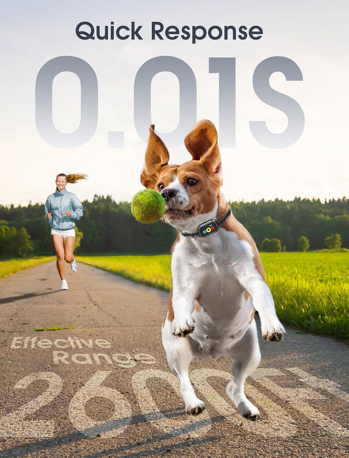 Dog Training Collar with Remote, Shock Collar with 3 Training Modes, Waterproof 