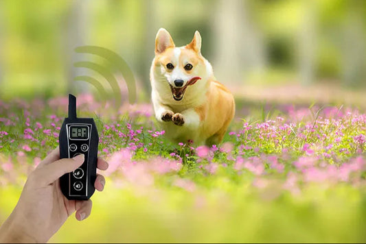 650 YD Remote Dog Training Shock Collar Waterproof for Small Medium Large Dogs